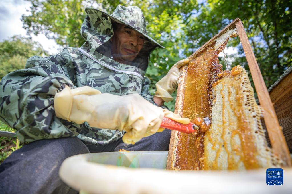 澳门银可老品牌